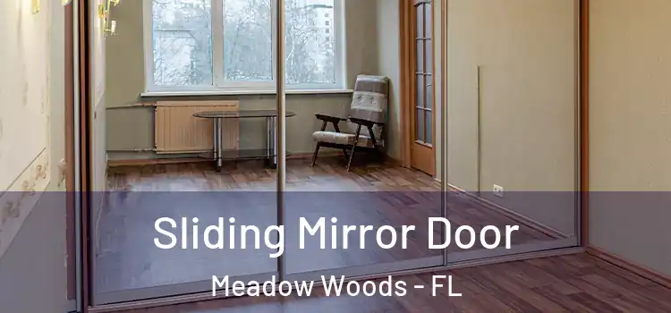  Sliding Mirror Door Meadow Woods - FL