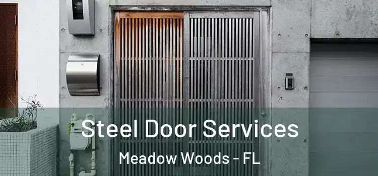 Steel Door Services Meadow Woods - FL