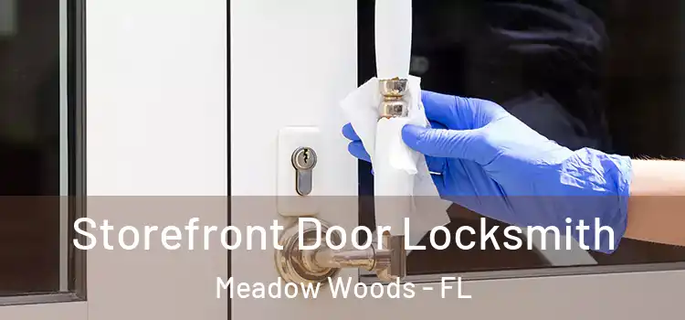  Storefront Door Locksmith Meadow Woods - FL