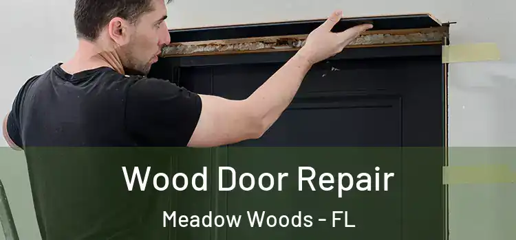 Wood Door Repair Meadow Woods - FL