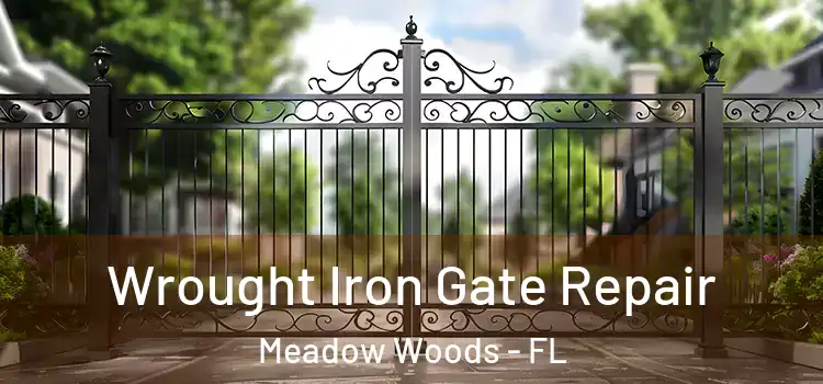 Wrought Iron Gate Repair Meadow Woods - FL